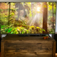 Sony X900H